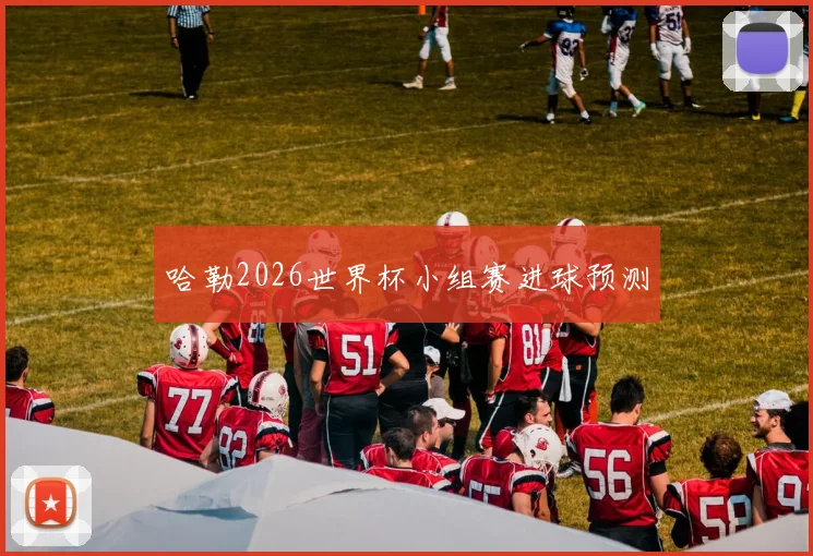 哈勒2026世界杯小组赛进球预测