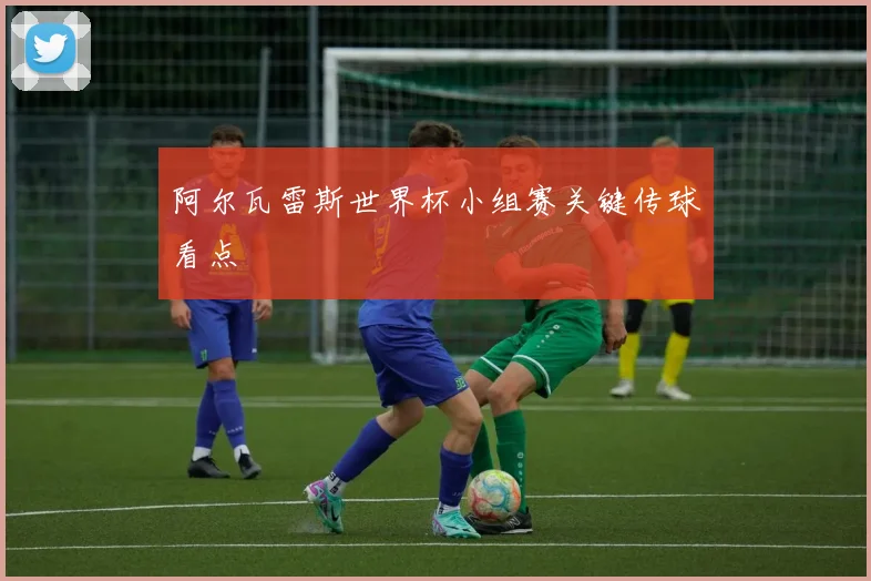 阿尔瓦雷斯世界杯小组赛关键传球看点