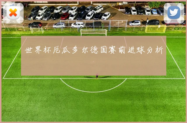 世界杯厄瓜多尔德国赛前进球分析