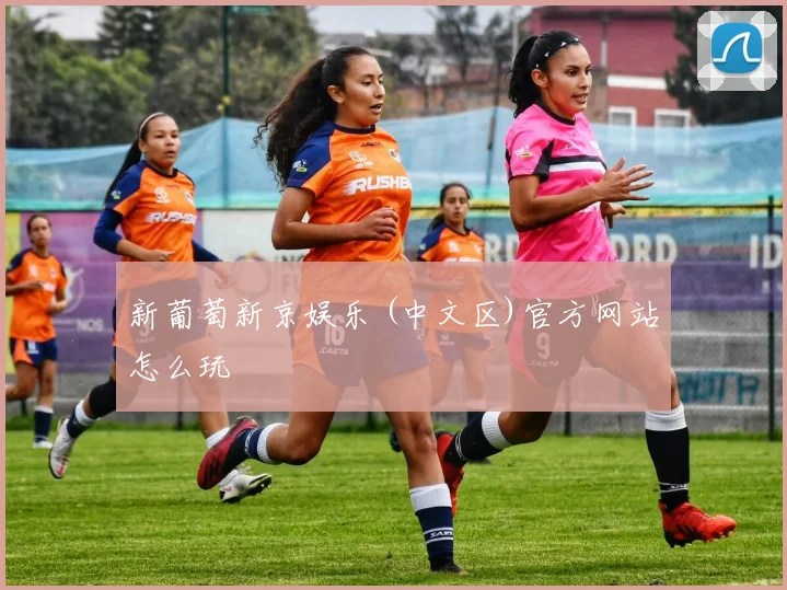 新葡萄新京娱乐 (中文区)官方网站怎么玩