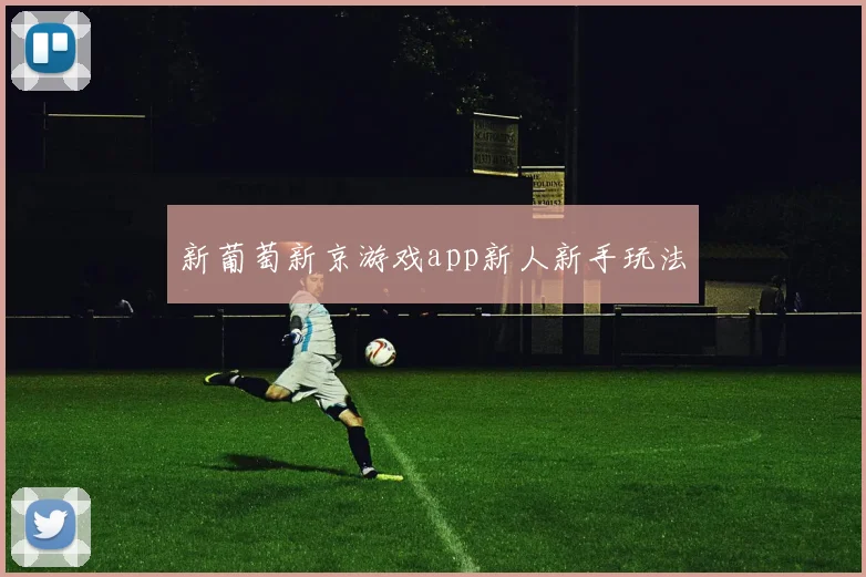 新葡萄新京游戏app新人新手玩法